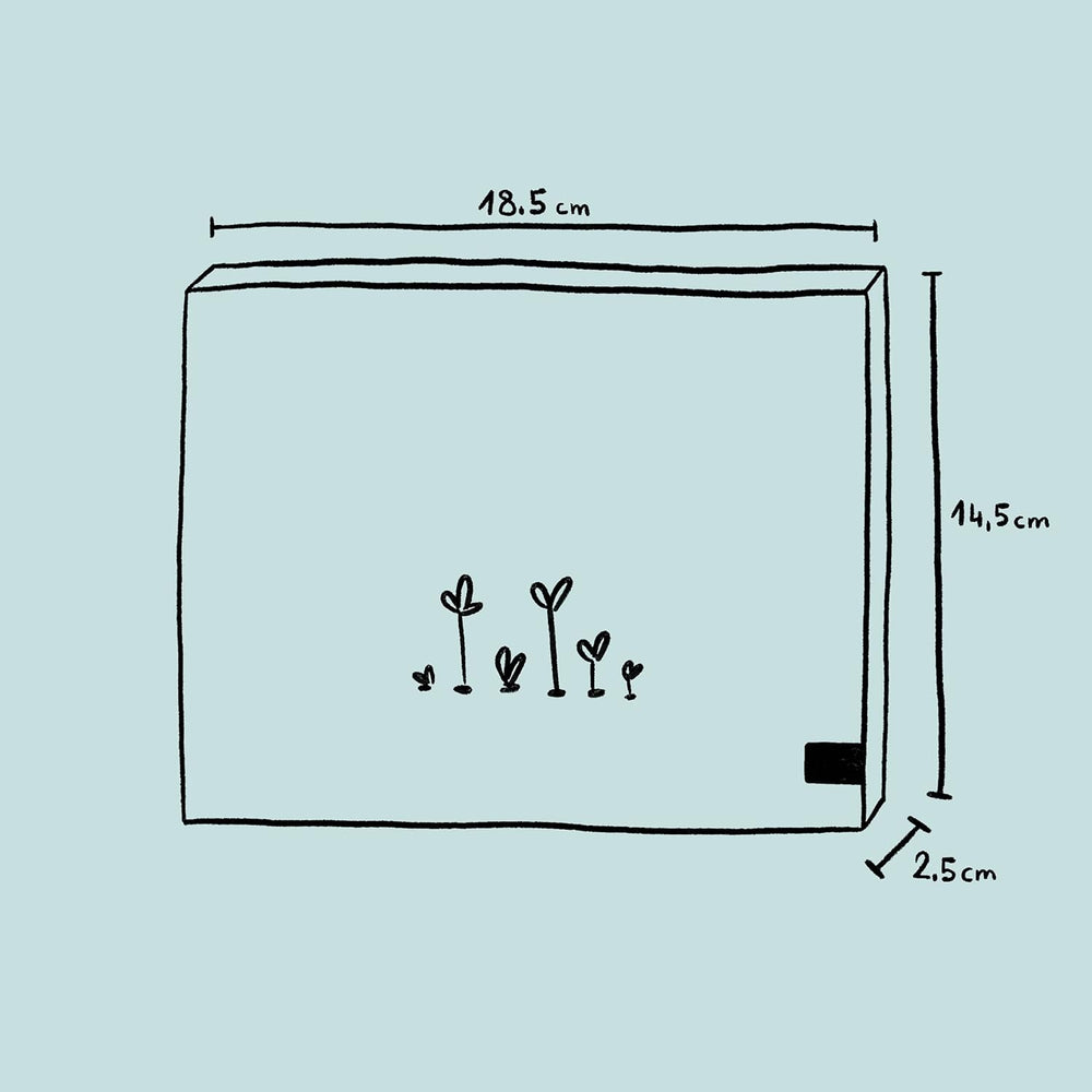 Plantes parfumées - coffret cadeau avec graines et 6 plantes aux fleurs joliment parfumées