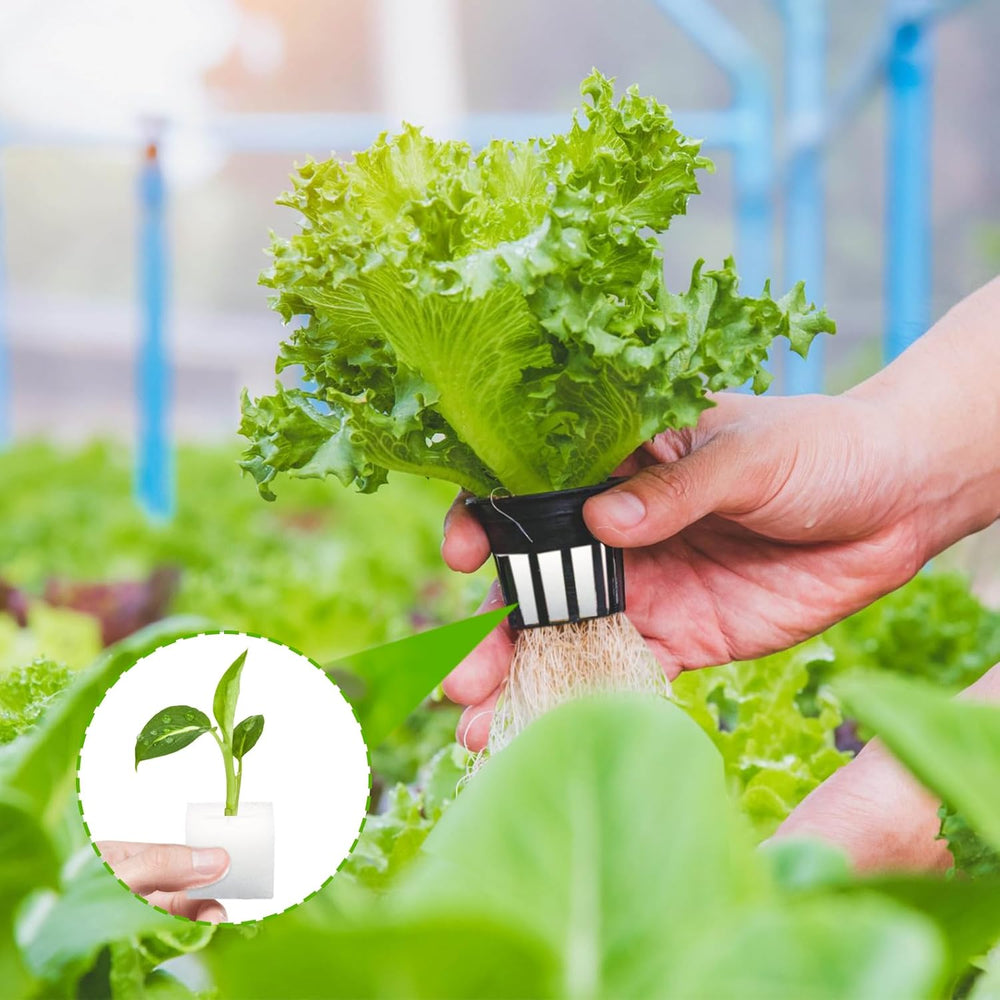 Laine de roche, laine de roche de propagation, 2 pièces, éponge hydroponique, 200 pièces après coupe - Alternative pour serre, germination des graines et légumes domestiques