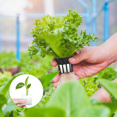 Laine de roche, laine de roche de propagation, 2 pièces, éponge hydroponique, 200 pièces après coupe - Alternative pour serre, germination des graines et légumes domestiques