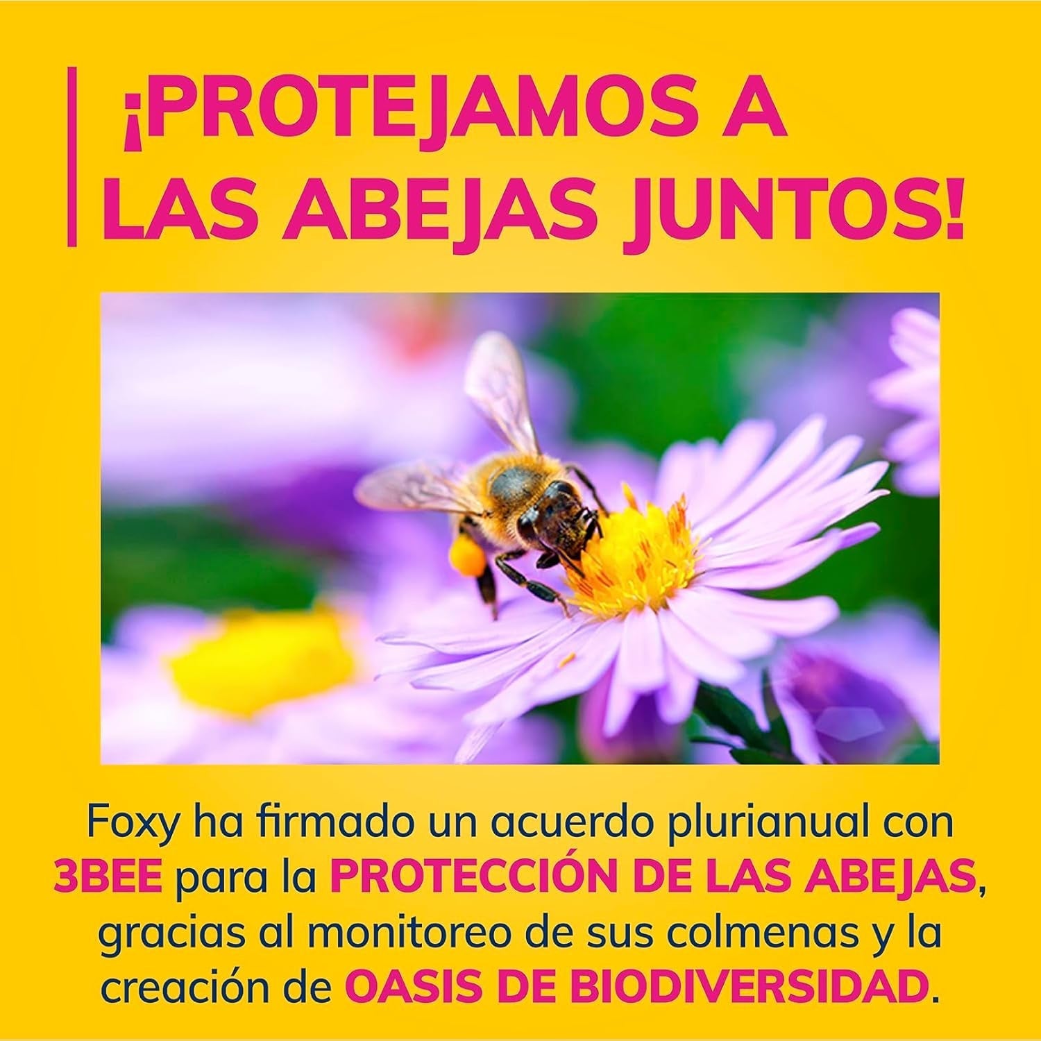 J’aime l’abeille | Papier toilette 3 épaisseurs | 48 rouleaux | 167 services de rouleaux | Certificat Fsc | Électricité 100% renouvelable | Emballage recyclable fabriqué à partir de plastique recyclé