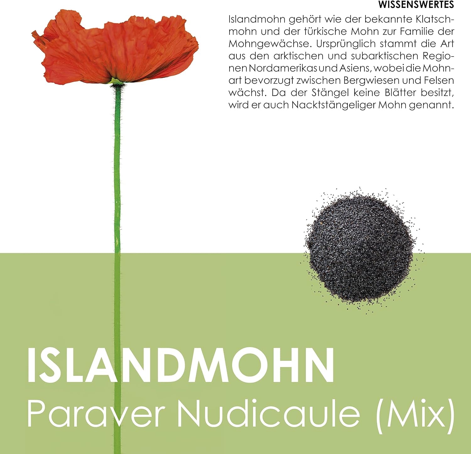 Mélange de graines de pavot d'Islande (Papaver nudicaule) - De magnifiques coquelicots à fleurs avec une longue période de floraison pour une prairie fleurie colorée (pavot d'Islande)
