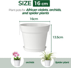 T4U Pot de Fleur en Plastique de 16 cm avec Soucoupe, Ensemble de 6 Pots à Herbes en Plastique avec Plusieurs Trous de Drainage, Pot Rond pour Plantes Succulentes d'intérieur et de Balcon, Cactus, Blanc