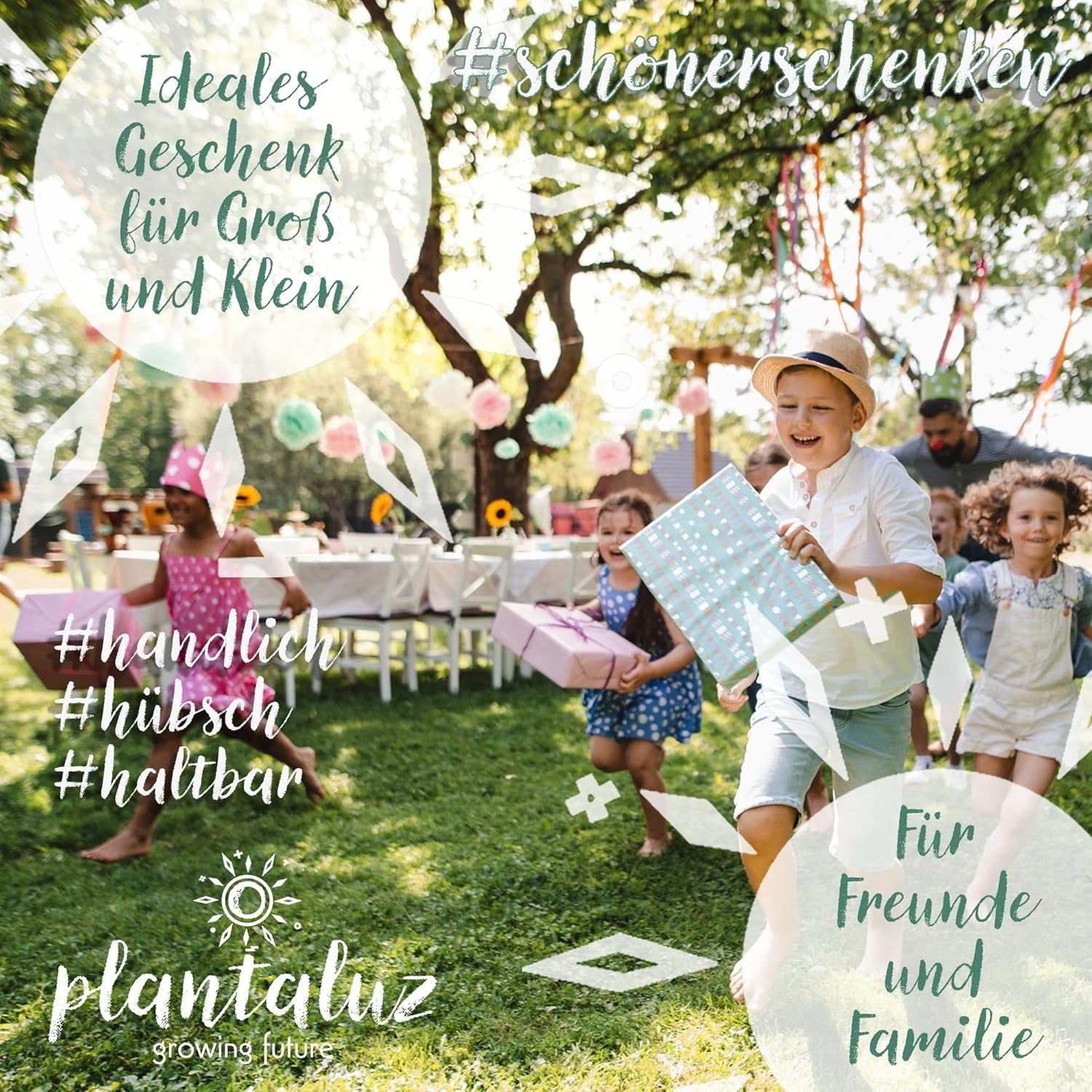 Plantaluz Premium Bio Seed Set P03 – Set de graines de plantes culinaires et médicinales pour jardin, balcon et intérieur – incl. Bâtonnets de plantation FSC – Graines biologiques pollinisées, non traitées et sans OGM