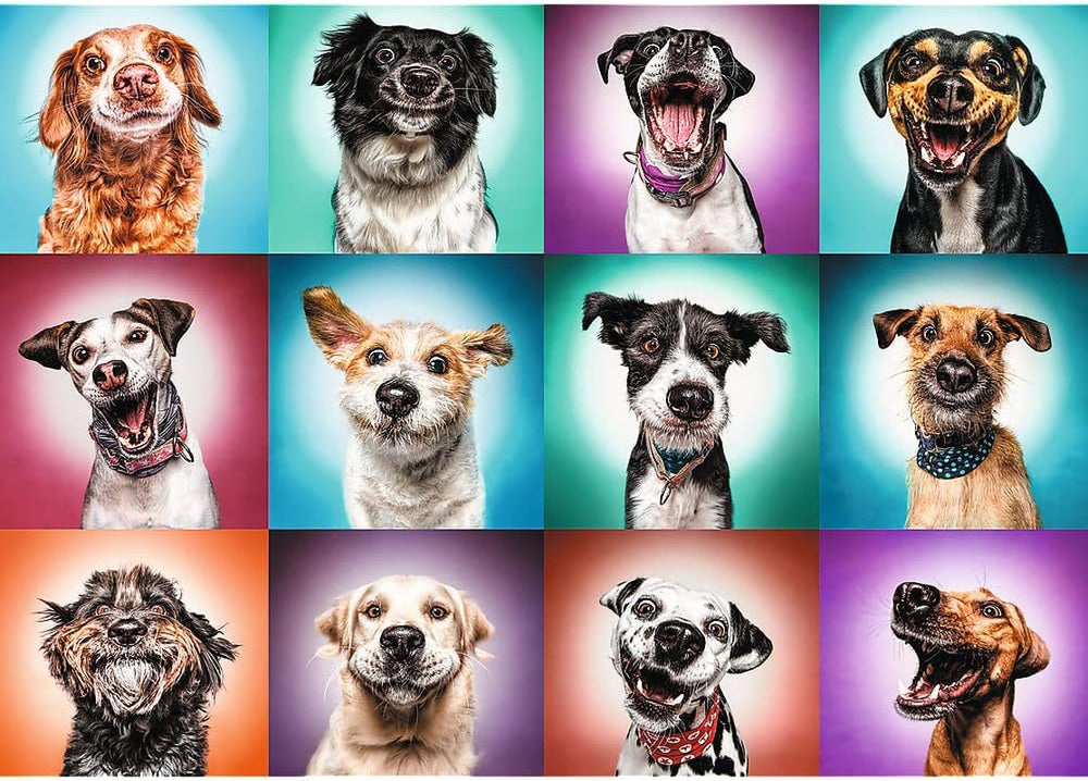 Trefl TR27119 Funny Dog Portraits II 2000 Pieces, Premium Quality, For Adults And Children From 12 Years Puzzle, Coloured Puzzle Naty Shop