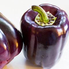 Paprika ZULU