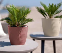 Lot de 5 pots marron diamètre 16 cm - Pots en plastique robustes - Jardinière décorative avec possibilité de drainage - Pot élégant pour l'intérieur et l'extérieur