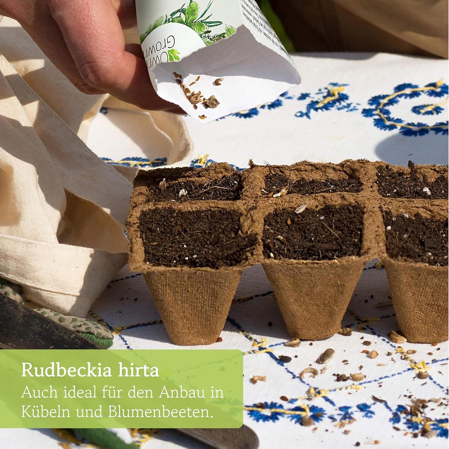 Graines d'échinacée : Graines d'échinacée jaune de qualité supérieure pour environ 20 plantes d'échinacée à fleurs – Graines de Rudbeckia – Rudbeckia rustique – Plantes vivaces d'échinacée – Plantes vivaces rustiques par OwnGrown