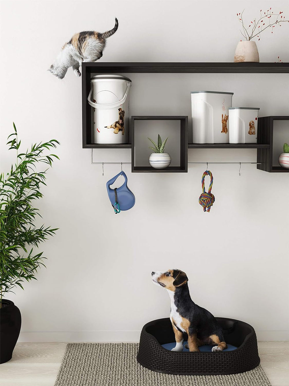 Contenant à nourriture pour chien Curver - 2 l Boîtes de conservation Naty Shop