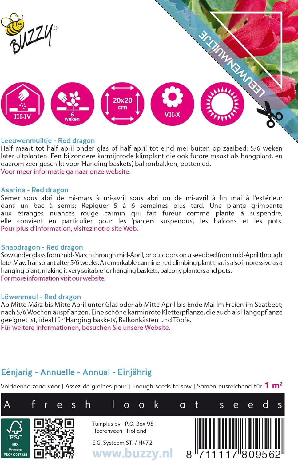 Fleurs grimpantes bourdonnantes, Dragon Rouge Asarina