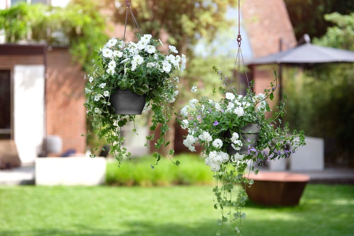 elho Vibia Campana Jardinieră suspendată 26 - Ghiveci suspendat pentru flori - Ghiveci pentru plante de exterior - Ø 26,0 x H 18,4 cm - Negru/Antracit