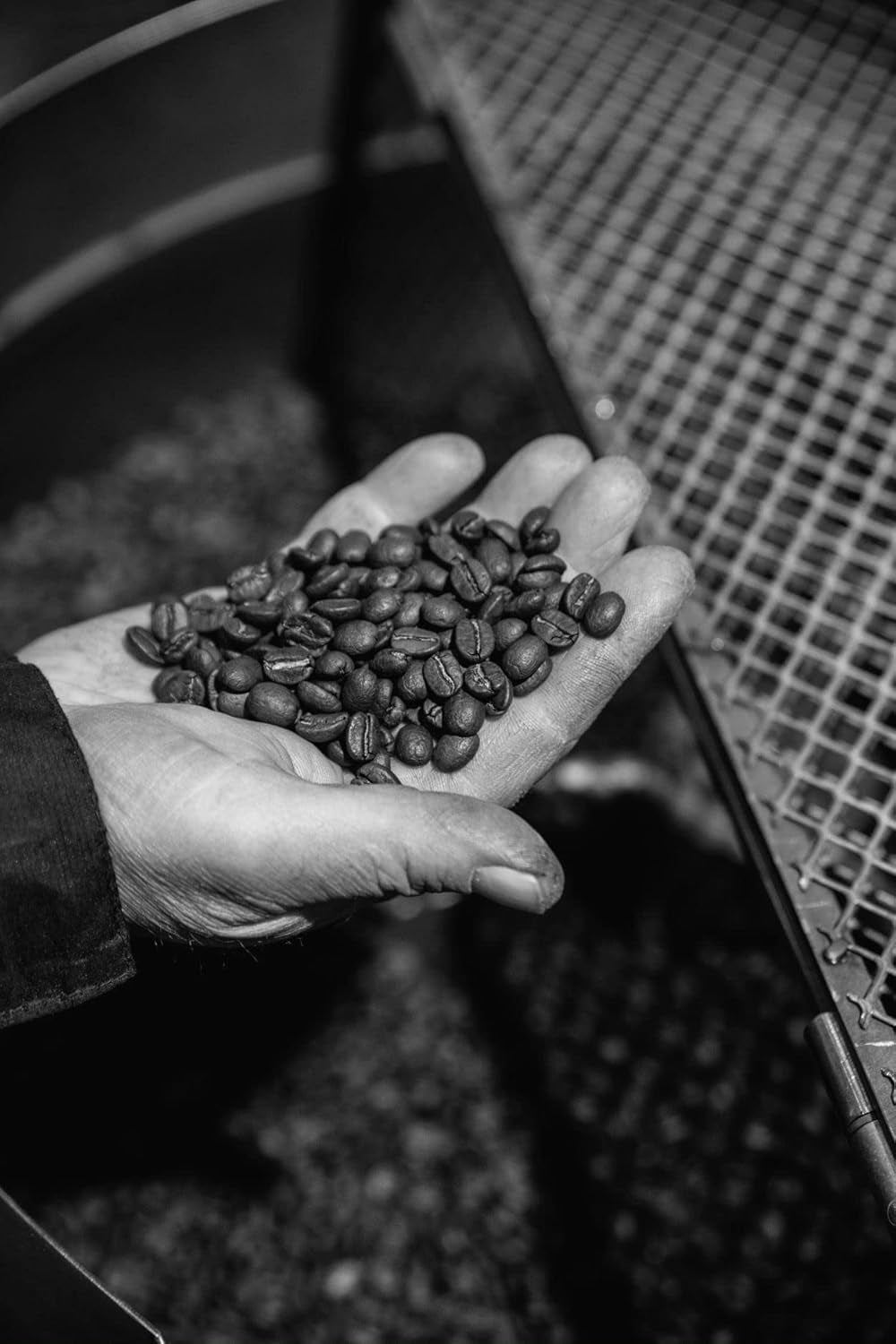 Café Espresso Bristot - Sublime 100% Arabica, 1000g en grains