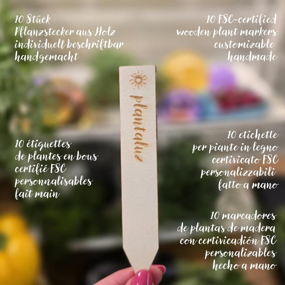 Plantaluz Premium Bio Seed Set P04 - Set de graines de légumes et d'herbes méditerranéennes avec 10 variétés pour jardin, balcon et plates-bandes surélevées - Y compris des bâtons de plantation FSC - Graines biologiques pollinisées et sans OGM