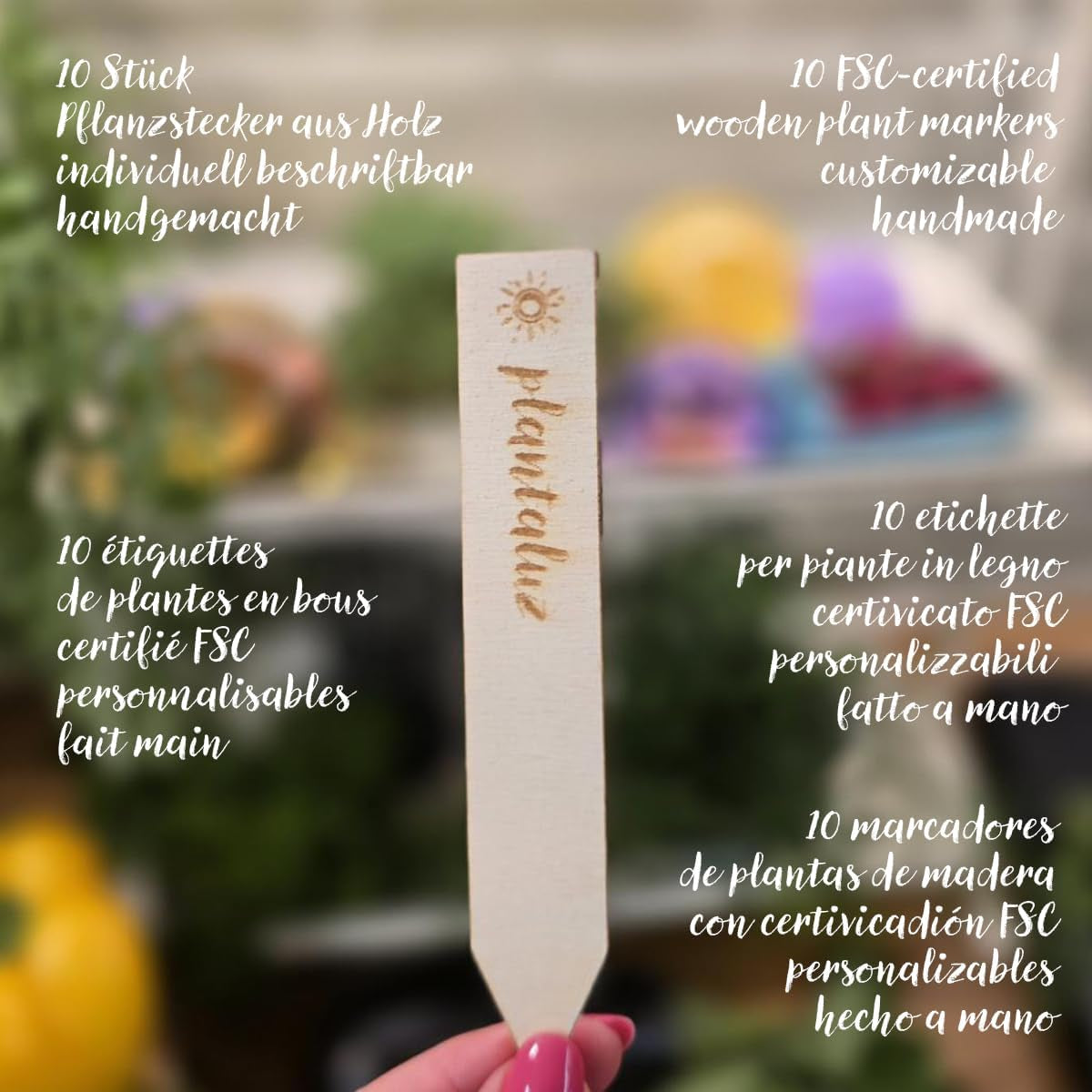 Plantaluz Premium Bio Seed Set P03 – Set de graines de plantes culinaires et médicinales pour jardin, balcon et intérieur – incl. Bâtonnets de plantation FSC – Graines biologiques pollinisées, non traitées et sans OGM