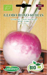 Rübe Globo Roxo 60 Dias