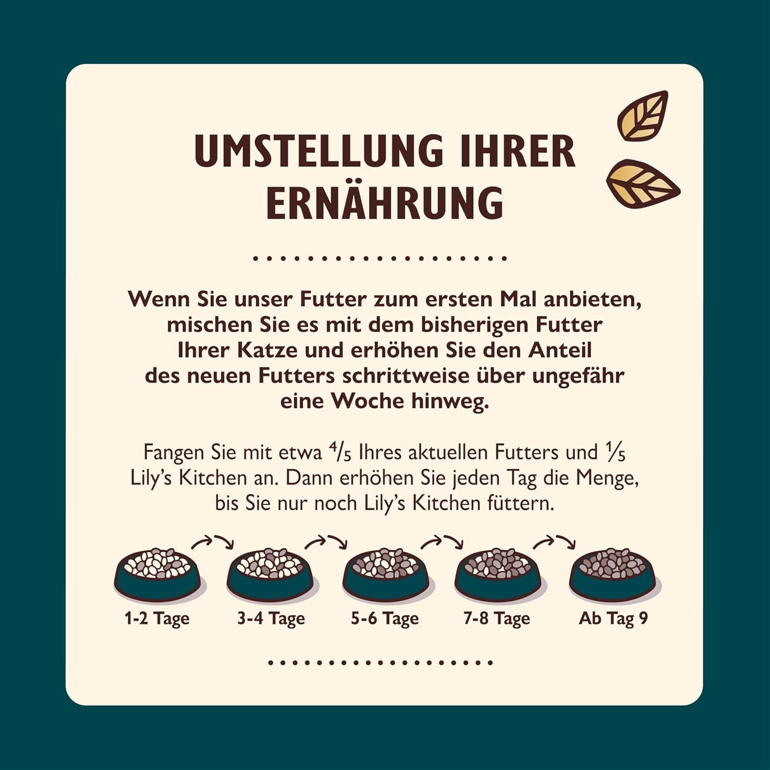 Lily's Kitchen Aus Naturichen Ingredient hermestellung Filets cuits dans de la gelée avec des cuisses et des laches ausgewachsen Nassfutter für Katzen Dose de 70 g