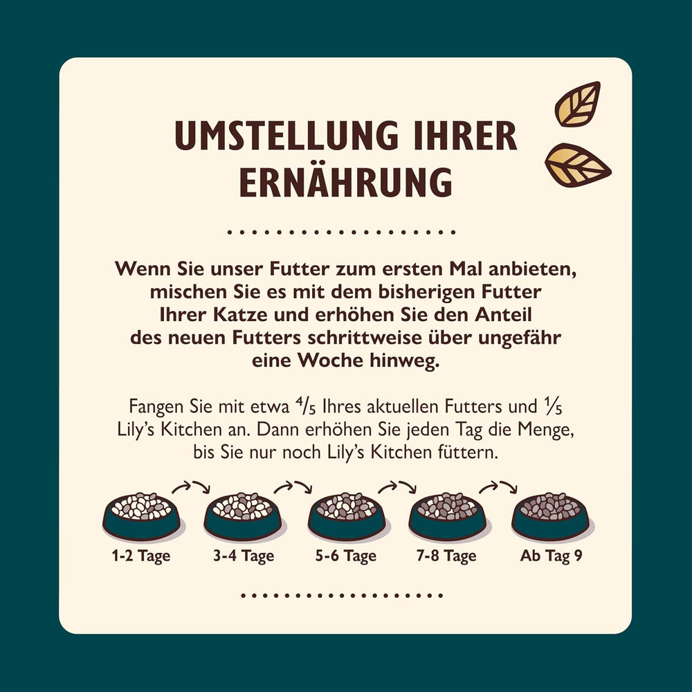 Lily's Kitchen Aus Naturichen Ingredient hermestellung Filets cuits dans de la gelée avec des cuisses et des laches ausgewachsen Nassfutter für Katzen Dose de 70 g