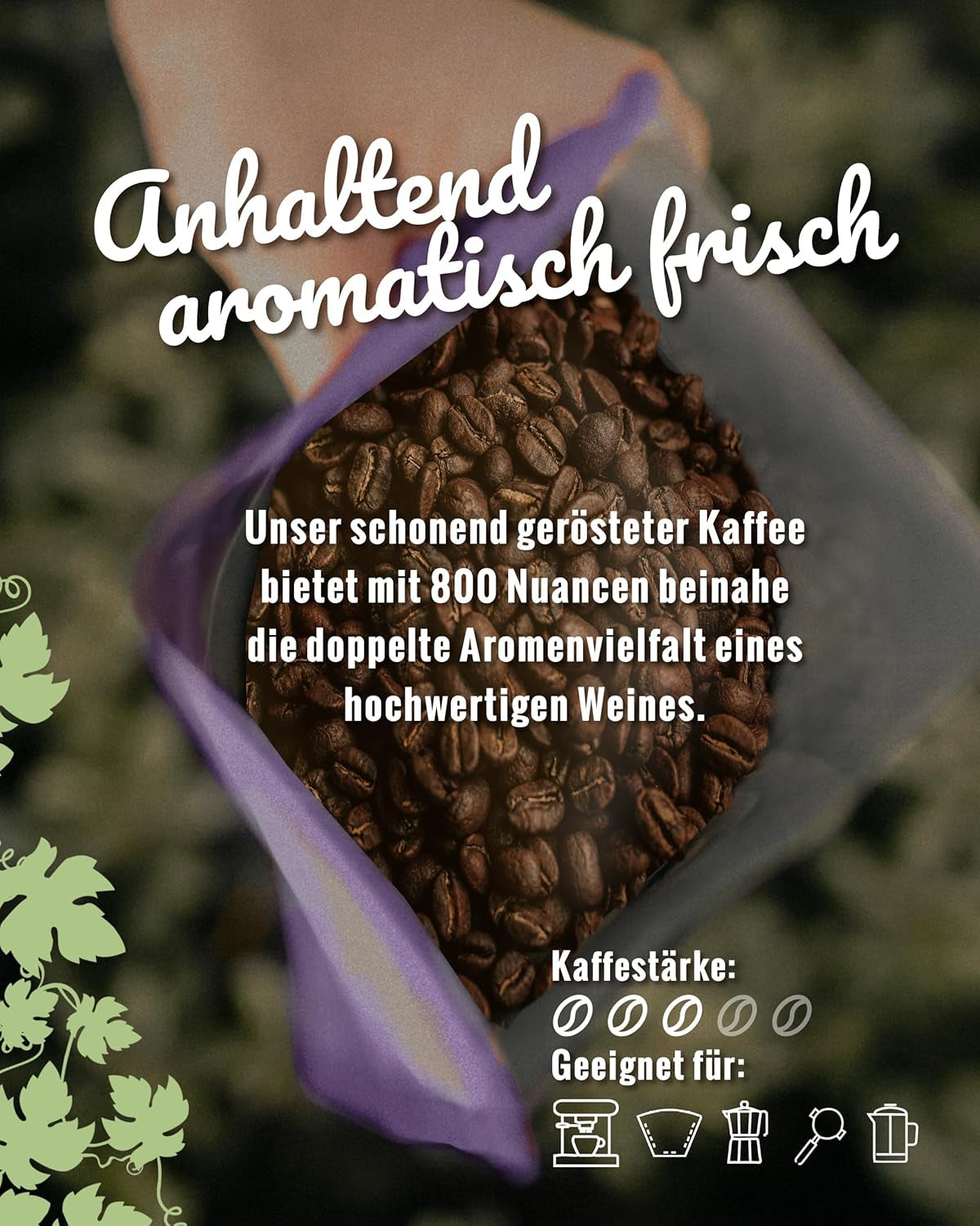 Blank Roast - BIO Winzer Kaffee 1000g - schonend mit Pfälzer Rebholz geröstet - ganze Kaffee-Bohnen au Pérou - 100% Arabica Röstung - schokoladig & nutig - säurearm