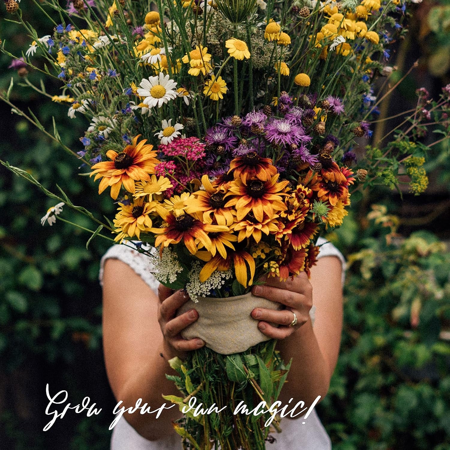 Nos plantes préférées : Plantes vivaces et fleurs d'été pour les amateurs de fleurs (biologiques) - Coffret cadeau de graines avec 6 jolies variétés pour une explosion florale sauvage - vous rend heureux !