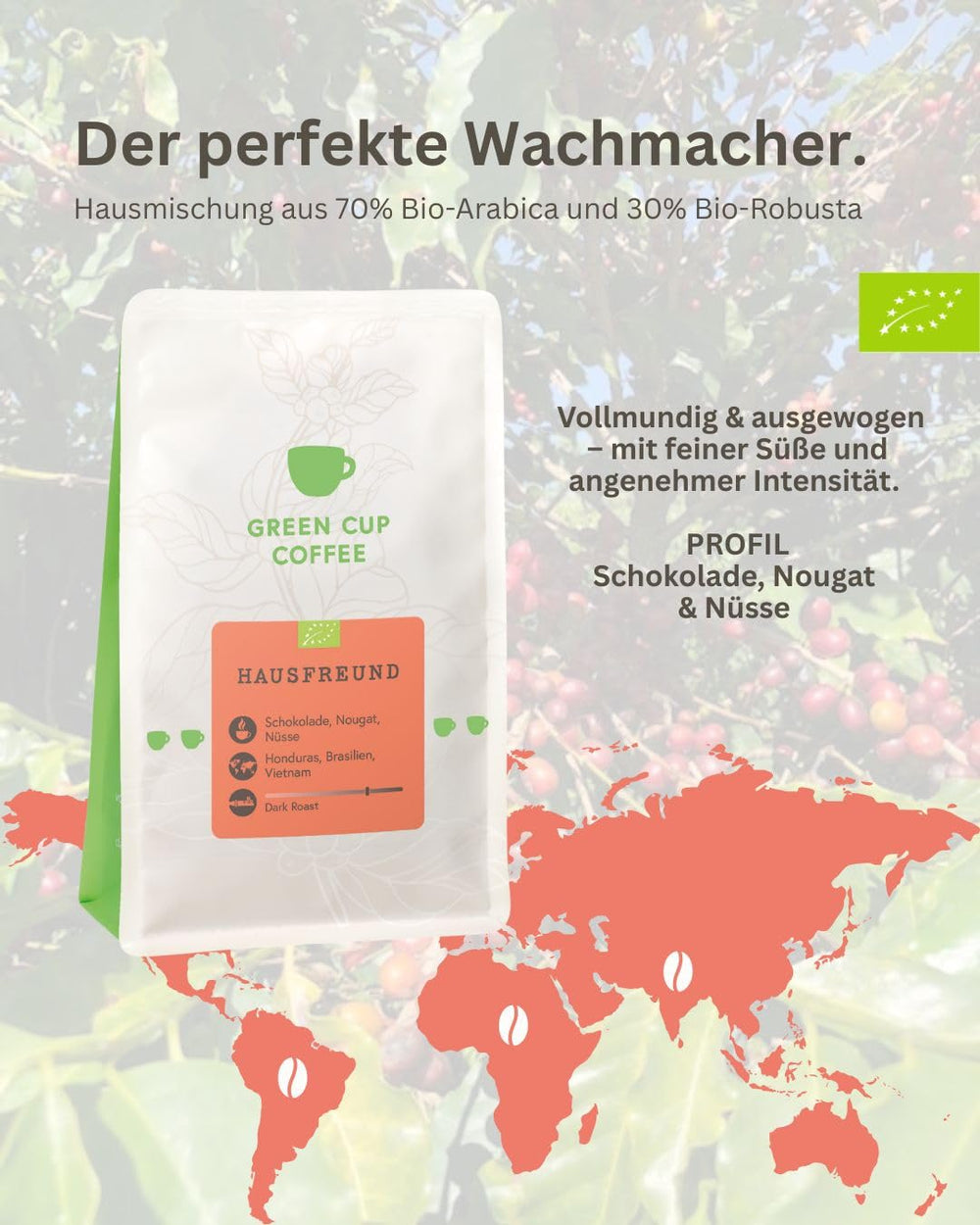 Café - Amateur I 70% Arabica, 30% Robusta I Kaffeebohnen 1kg I idéal pour Moka Kanne, Siebträger et Vollautomat mit schokoladig, nutigen Nougat Aroman I dunkle Röstung