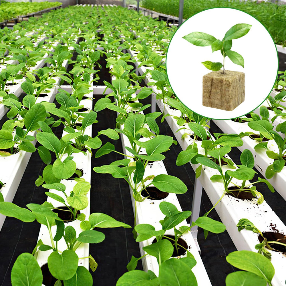 Cubes de semis de laine de roche, 56 pièces, 4x4x4cm. Respectueux de l'environnement et bien aéré pour la culture hors sol de semis, boutures et clones.