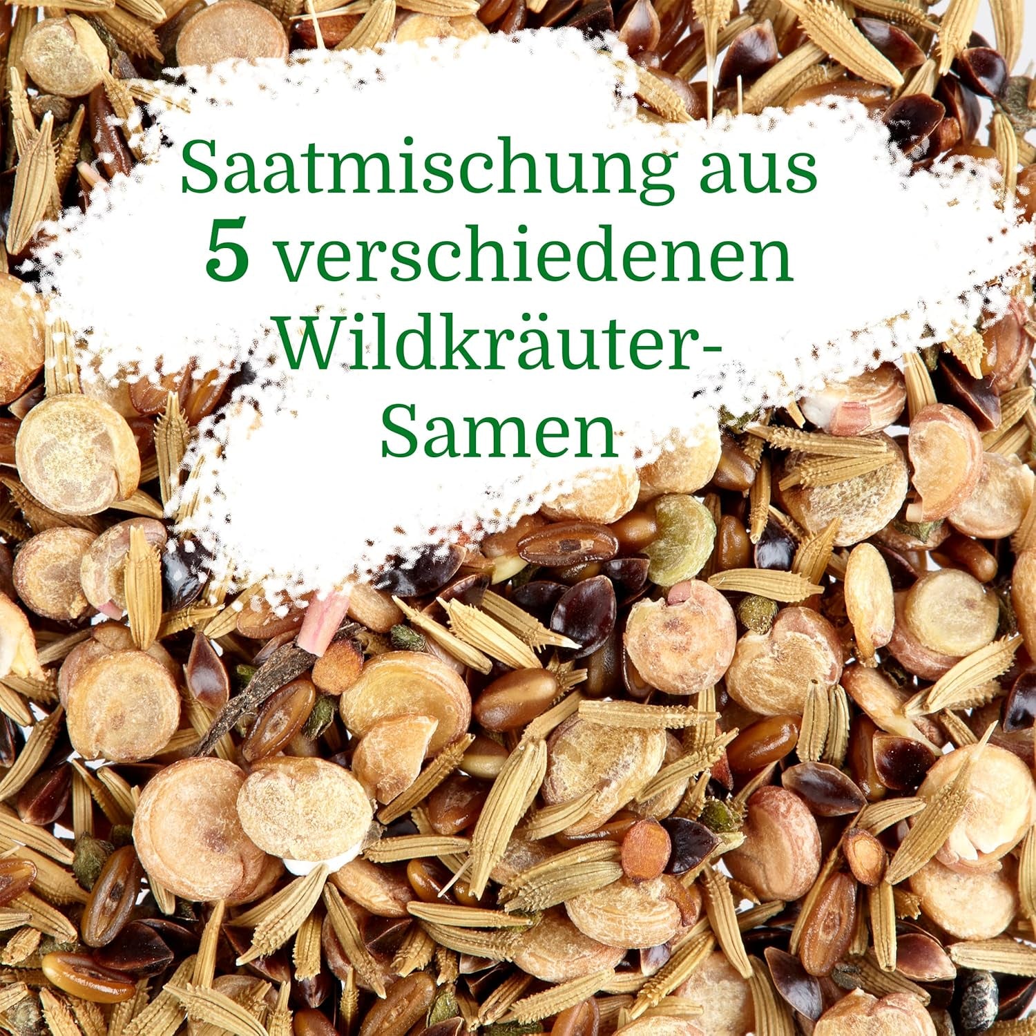 Wildkräuter Samen : Bunte Premium Kräuter Samen Mischung mit Löwenzahn Samen, Sauerampfer, Spitzwegerich uvm – Unkraut Samen Mix für Garten, Balkon – Kräuter Pflanzen Saatgut alte Sorten von OwnGrown