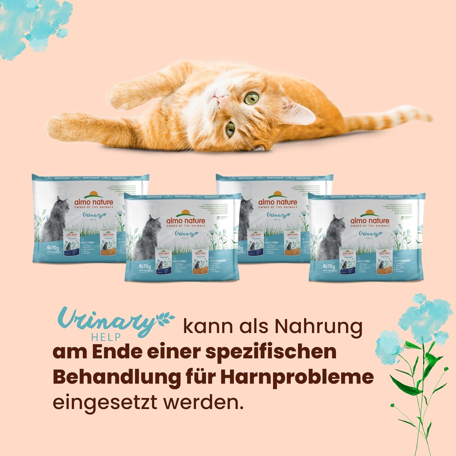 Almo Nature Functional Urinary Help - Nassfutter für ausgewachsene Katzen mit Fisch - Unterstützung für die Gesundheit der Harnwege - 30 Sachets à 70g