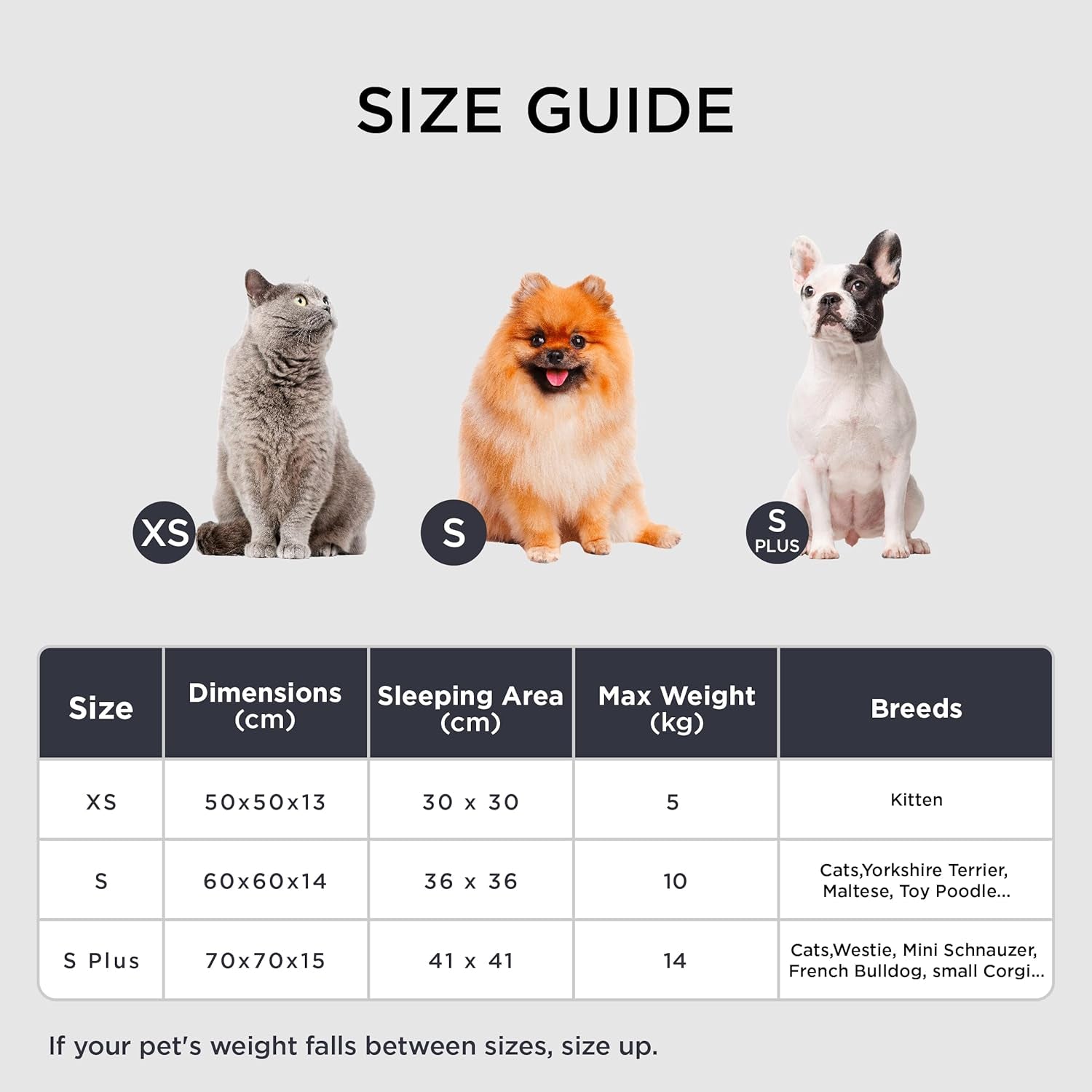 Lits et Canapés, Couvertures et Meubles, Animaux, Chats, Lits pour chats, Chats - lits, matelas