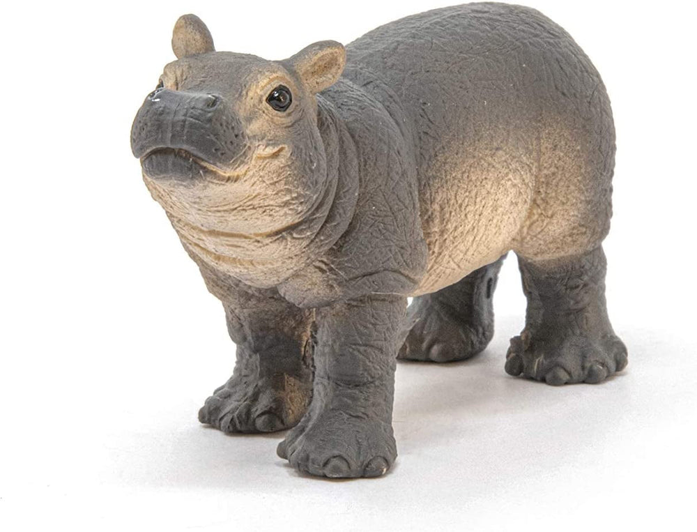 Schleich 14831 Jeune hippopotame, pour les enfants à partir de 3 ans, WILD LIFE - figurine de jeu Figurines Naty Shop