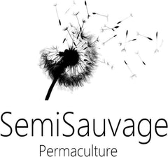 25 graines pour papes - Plante à fleurs de jardin antique - Graines reproductibles pour les agriculteurs, semi-sauvages