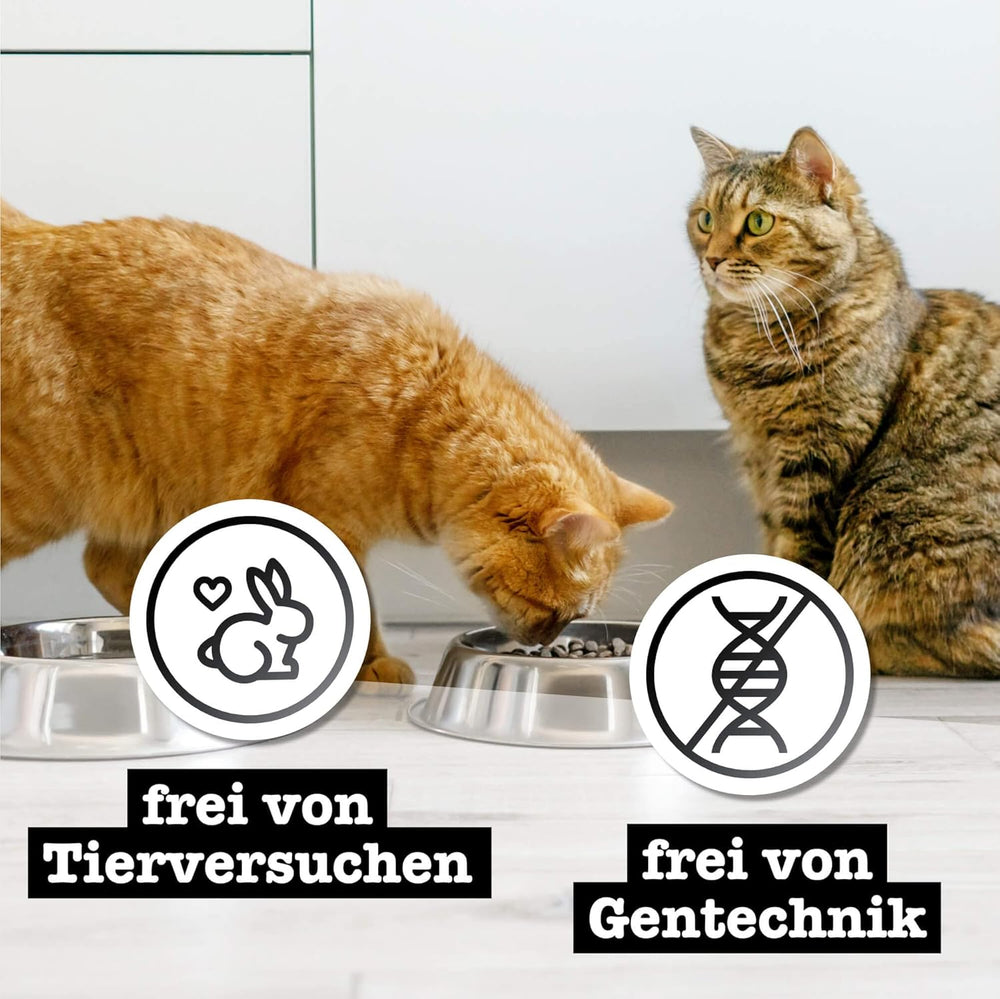 Nourriture humide pour chats Catz Finefood Purrrr avec monoprotéine et saumon no. 105, pour chats à digestion sensible, 16 x 80 g