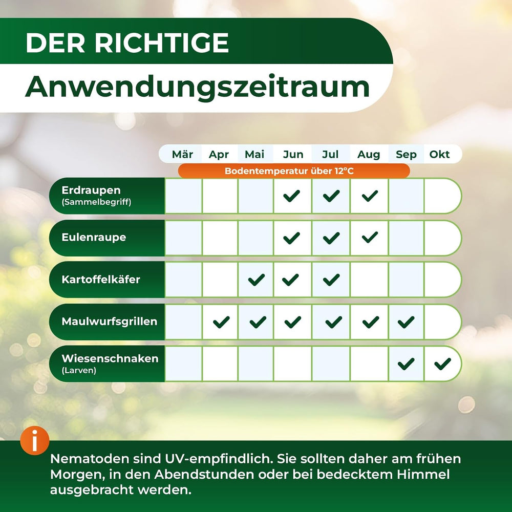 Legona Sc-Nematoden Zur Bekämpfung Von Maulwurfsgrillen - 50 Mio. Für 100M² / 250L Blumenerde/Bio Schädlingsfrei Gießmittel Für Rasen Und Beet