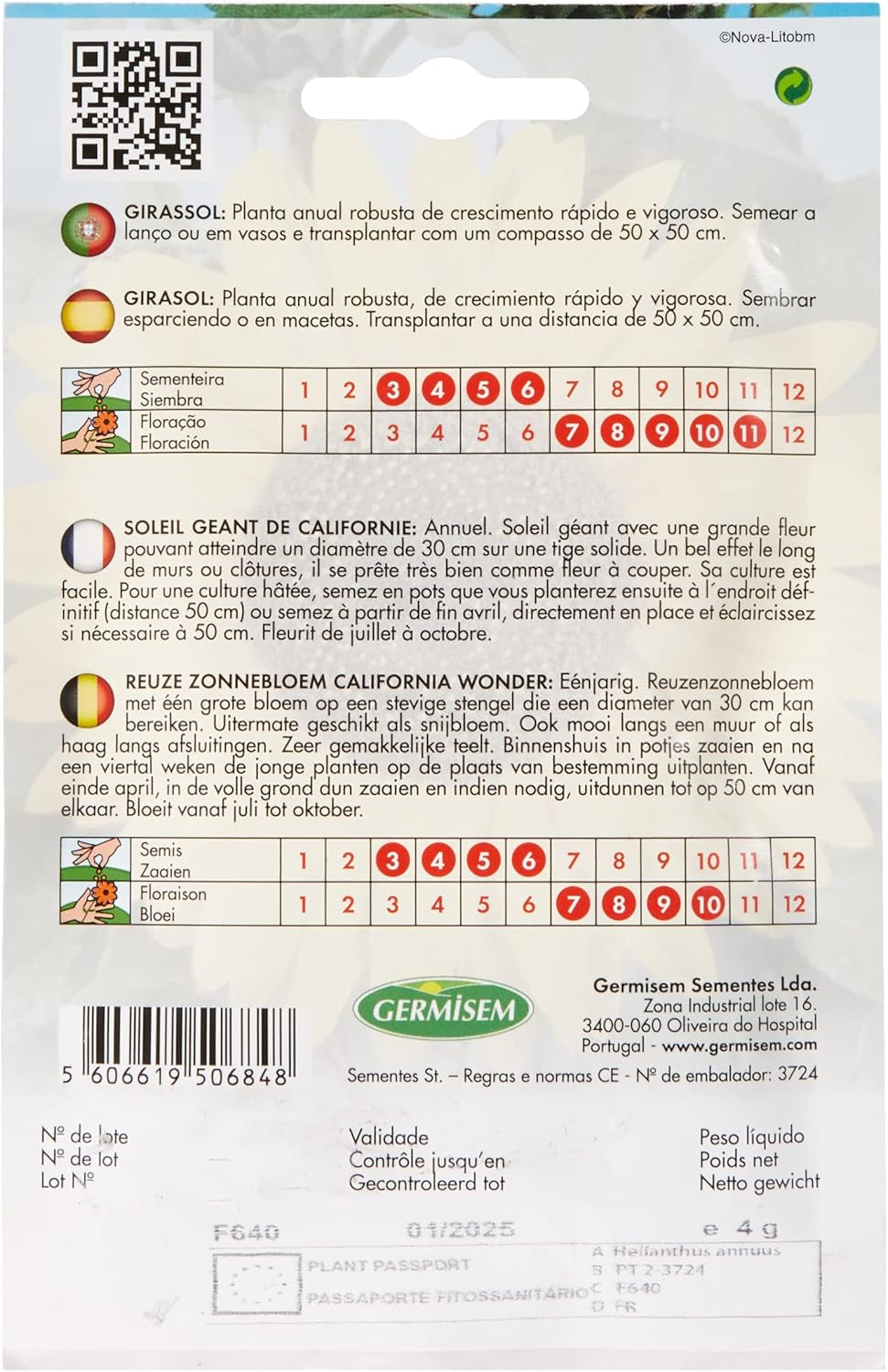 Sonneblume CALIFORNIA WONDER EC1530 Mehrfarbig