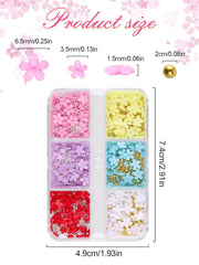 Kalolary Breloques pour nail art en forme de fleurs en acrylique 3D pour ongles, cinq pétales, ornements floraux, pierres précieuses, strass, perles métalliques mélangées pour bricolage, conception de nail art, fabrication de bijoux (2 boîtes)