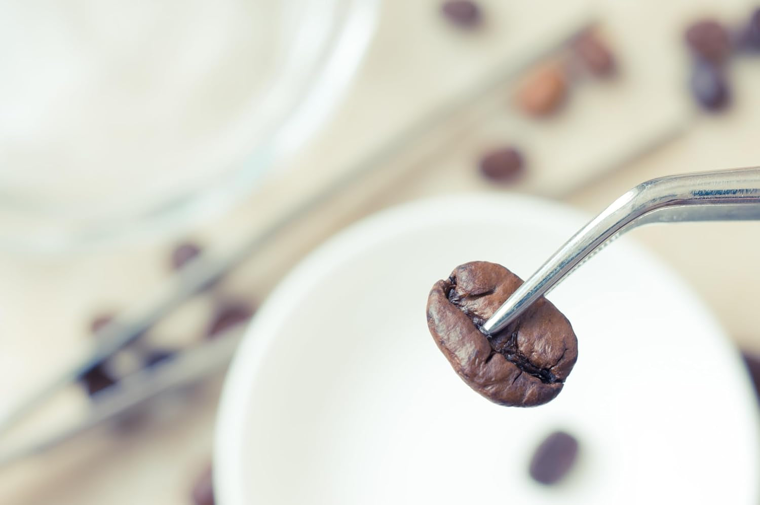 NIK CAFE' – Mélange Classico – grains de café torréfiés. Son Excellence, le robuste. 100% robuste