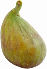 Feigenbaum Lange Von Portugal – Obstpflanze Topf Ø 26 Cm, Max. Wuchshöhe 180 Cm – Alter: 4 Jahre - Italienische Baumschule