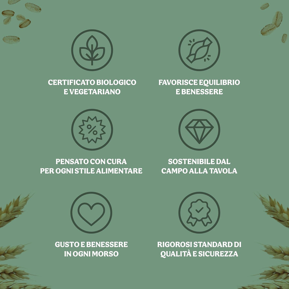 Cornflakes bio légers 500g par paquet