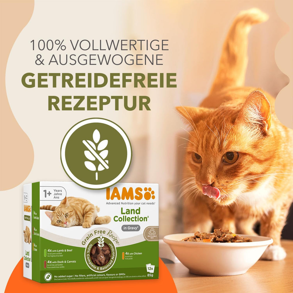 IAMS Delights Land Collection Nourriture humide pour chats sans céréales – Pack varié de viande Multi Pack Nourriture humide sans céréales pour chats de 1 an et plus 12 x 85 g