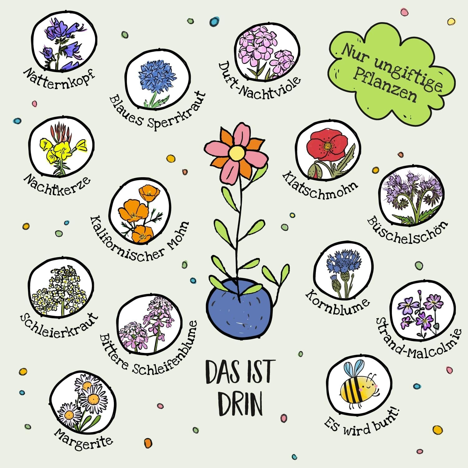 Bunte Blumenmurmeln "Frühlingsgruß" L 10 X5 Kleine Saatkugeln in Einem Tütchen Mit Blumenkorb-Motiv L Geschenk Zu Ostern, Im Frühling, Als Gastgeschenk Oder Als Dankeschön Für Erzieher, Lehrer