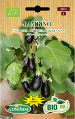 Bio Auberginen Samen Mini Bambino