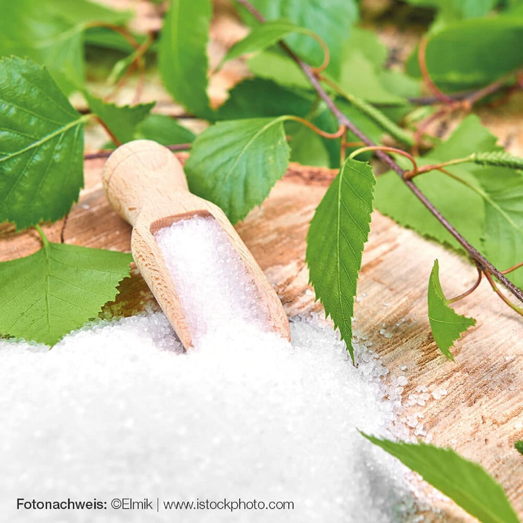 Raab Vitalfood Premium Birkenzucker, Xylit, Vegan, 1:1 Zucker-Alternative, Süßungsmittel, Zahnfreundlich, Vorratspack, 750 G Indulcitori Naty Shop