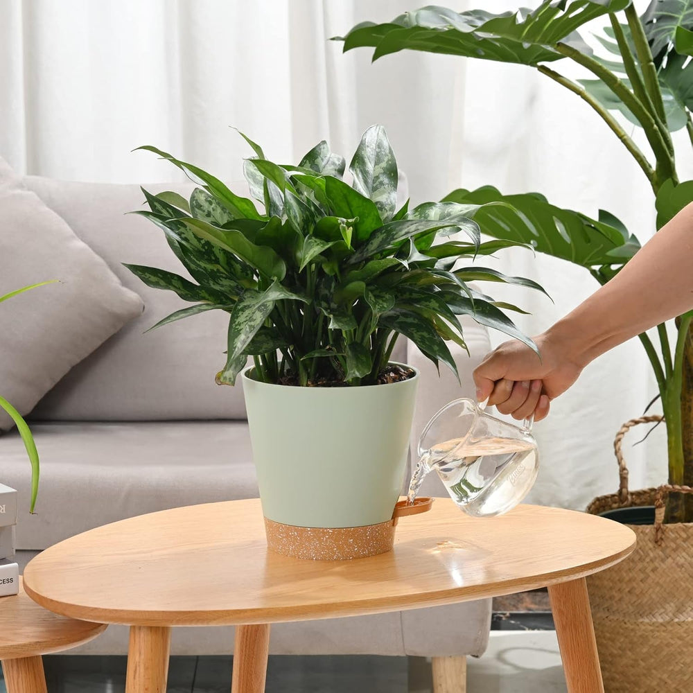 Pot de Fleur 6 Pièces 12,7 cm Jardinière à Arrosage Automatique Pot de Fleur intérieur extérieur à Drainage élevé avec Plateau de réservoir et Bord d'arrosage Jardinière de Jardin Jardin