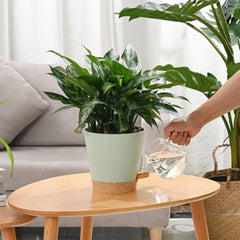 Pot de Fleur 6 Pièces 12,7 cm Jardinière à Arrosage Automatique Pot de Fleur intérieur extérieur à Drainage élevé avec Plateau de réservoir et Bord d'arrosage Jardinière de Jardin Jardin