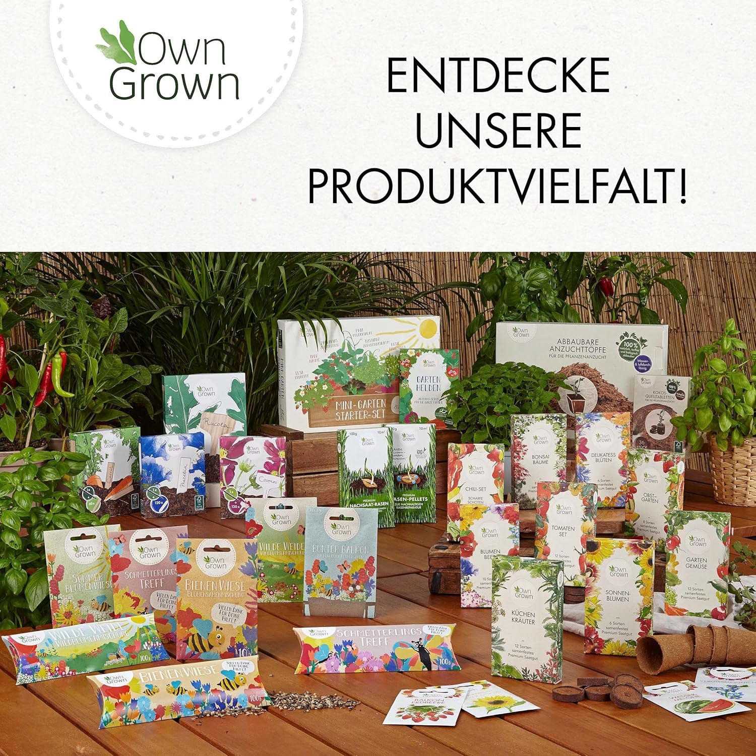 Wildkräuter Samen : Bunte Premium Kräuter Samen Mischung mit Löwenzahn Samen, Sauerampfer, Spitzwegerich uvm – Unkraut Samen Mix für Garten, Balkon – Kräuter Pflanzen Saatgut alte Sorten von OwnGrown