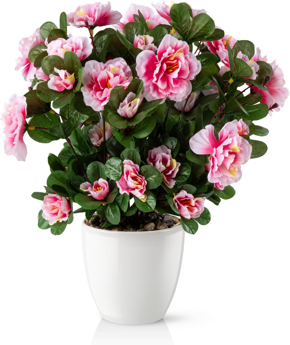 PASCH® Begonie Im Hochglanz-Keramiktopf | Kunstblumen Im Topf | Künstliche Blumen Wie Echt | Fake Blumen | Kunstblumen Wie Echt (Japanische Begonie, 3 Stück, 16Cm)