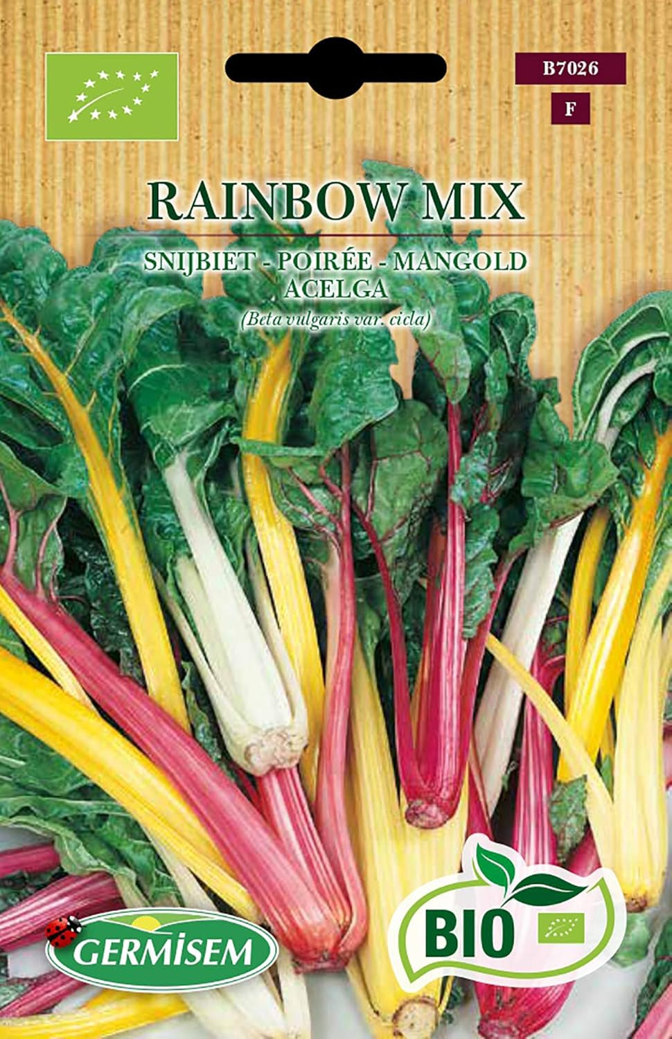 Mangold RAINBOW MIX, ECBIO7026