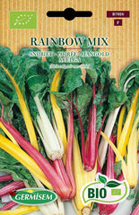 Mangold RAINBOW MIX & Spinat WINTER GIANT