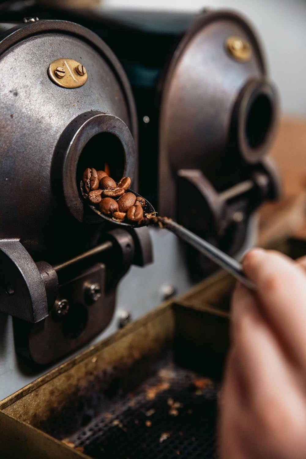 Café Espresso Bristot - Sublime 100% Arabica, 1000g en grains