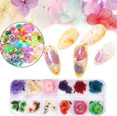 Kalolary Fleurs séchées pour ongles, papillon, paillettes, feuille de vernis à ongles, autocollants, pince à épiler, pierres à ongles, strass, crayon pour conception d'ongles 3D, décorations DIY