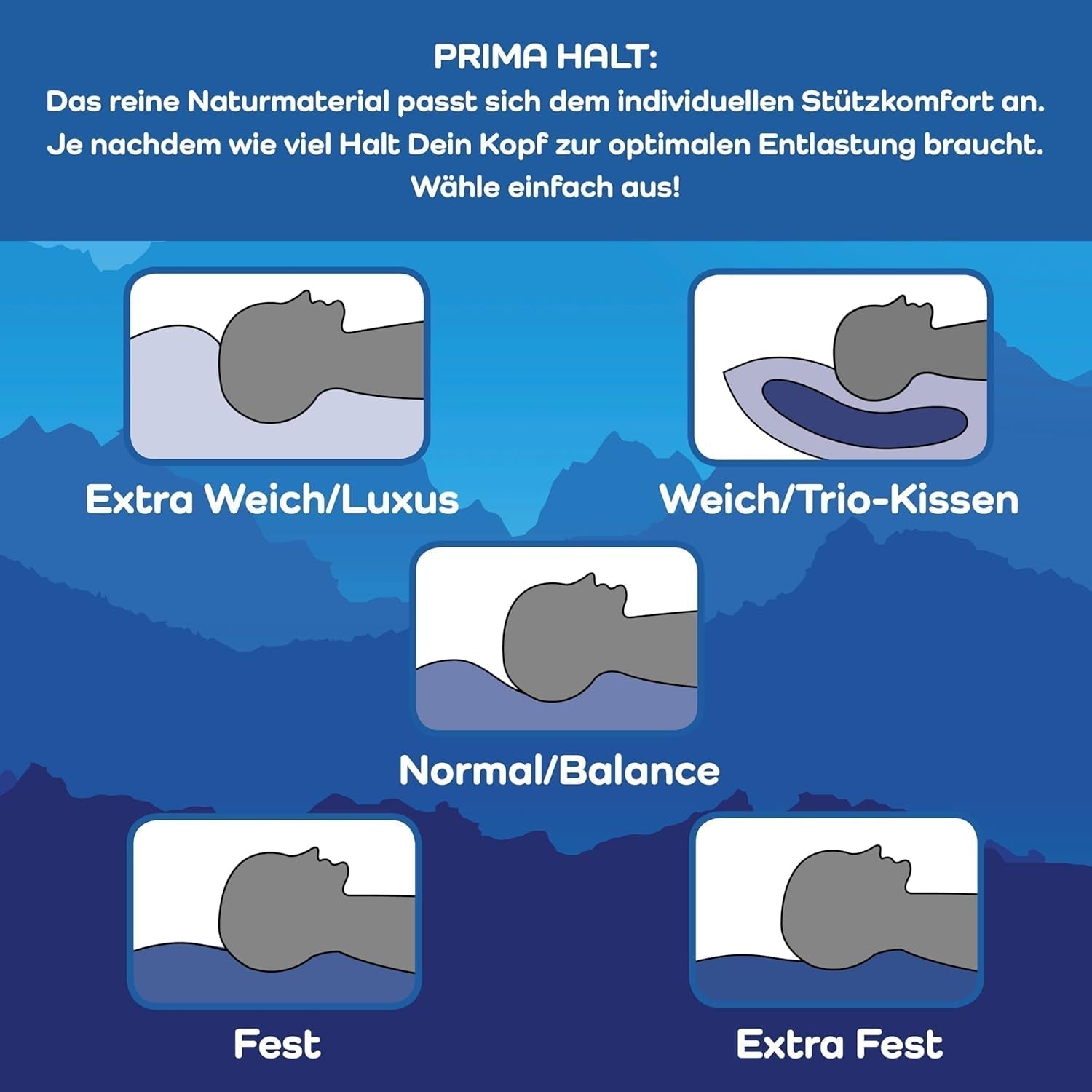 LINEA by Böhmerwald - Cosy - Oreiller Balance de haute qualité, 80X80, 70% plumes classe 1, 30% duvet neuf, adapté aux allergies, lavable jusqu'à 60°C, fabriqué en Allemagne Oreillers standards Naty Shop