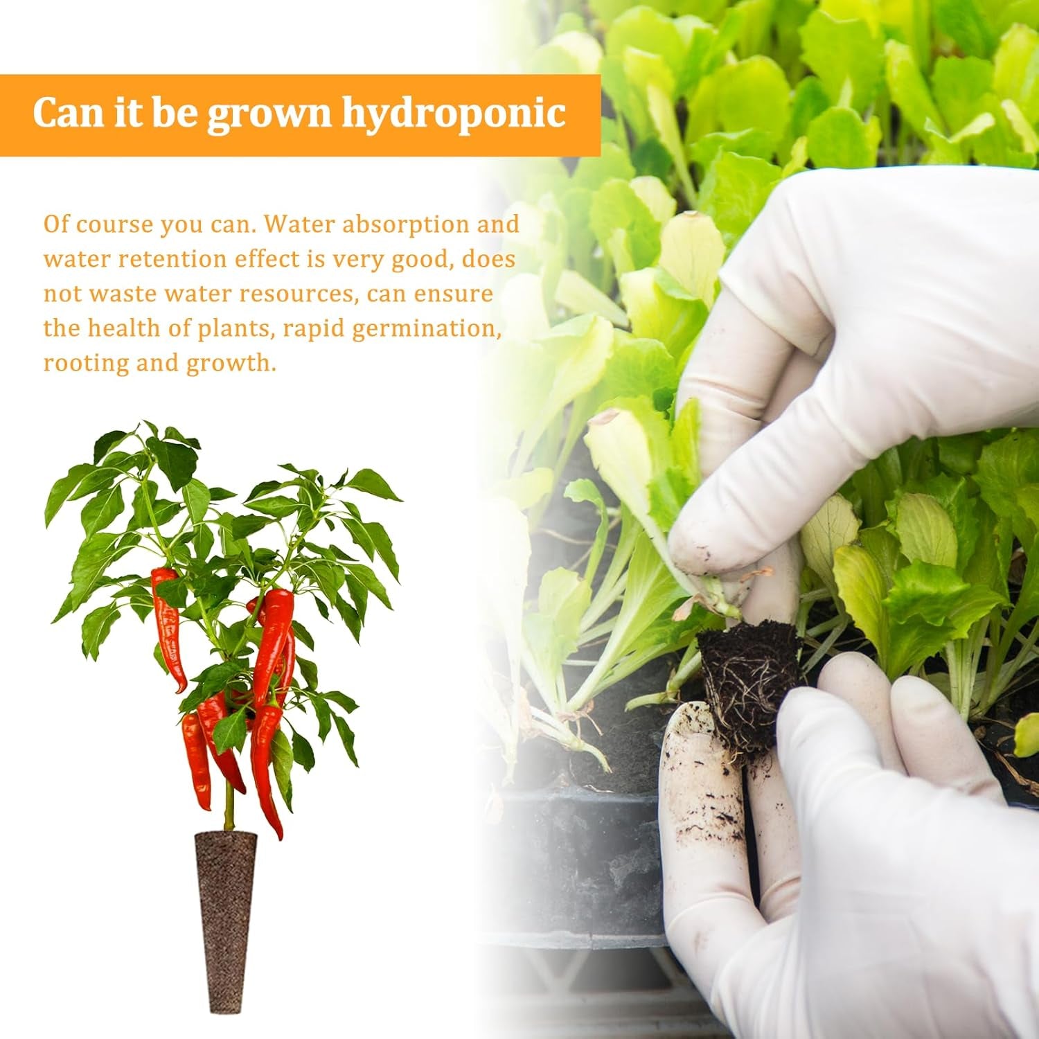 50 éponges de culture hydroponique, éponges de semis hydroponiques, bouchons d'éponge de culture de racines, adaptés à différents types de bourgeons, tels que la tomate, la fraise, la menthe